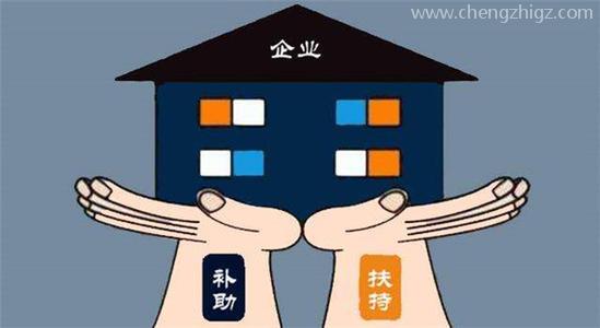 常见的企业补贴有哪些怎么申请？