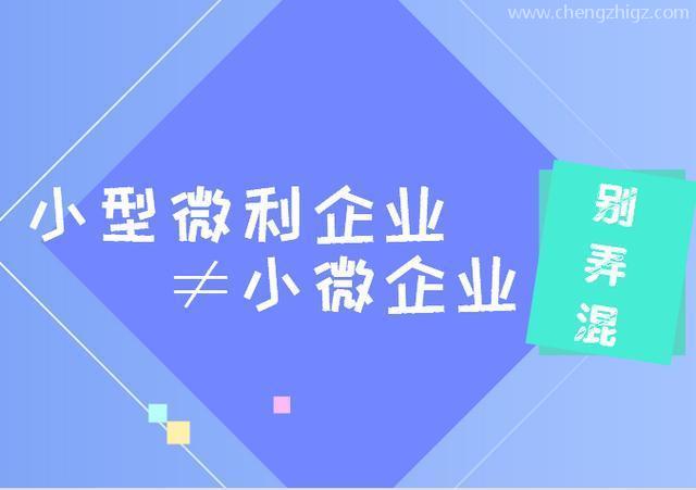 小型微利企业
