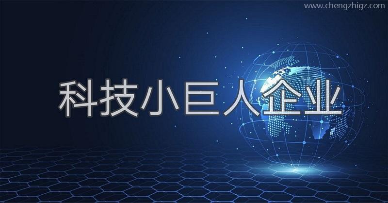 科技小巨人是什么？广州市企业科技小巨人怎么认证申请