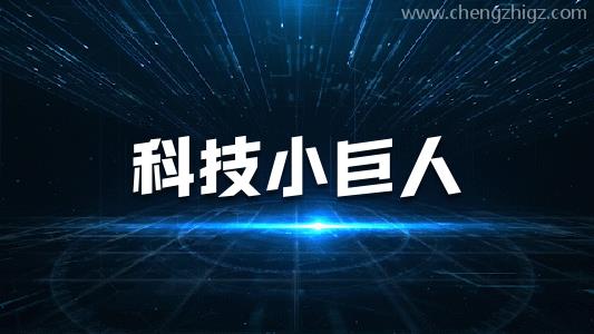 专精特新中小企业申报条件